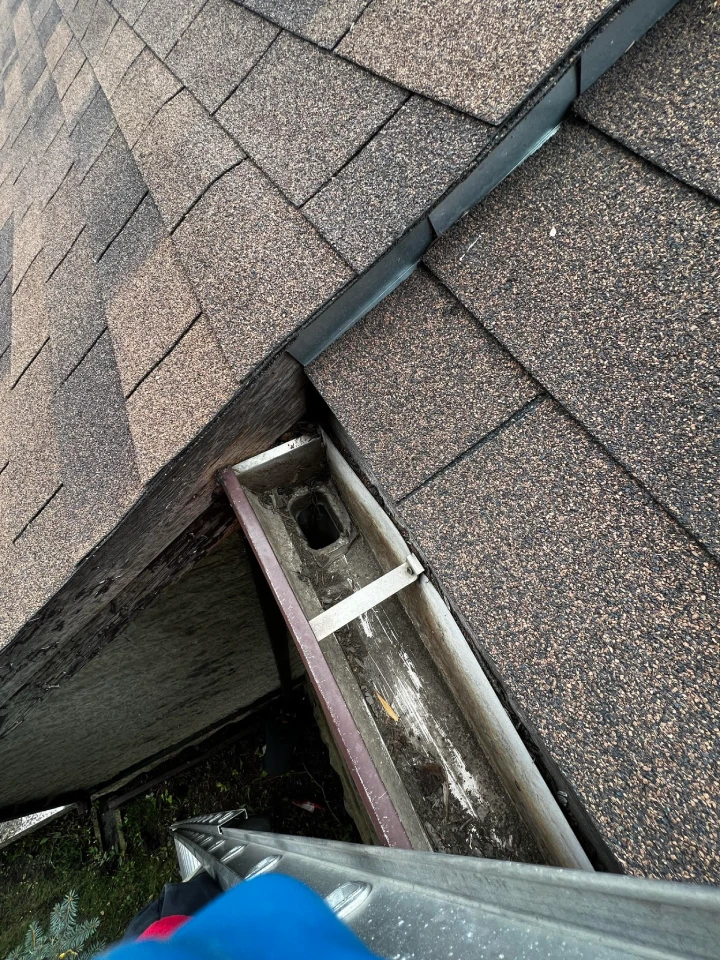 Gutter Cleaning 2