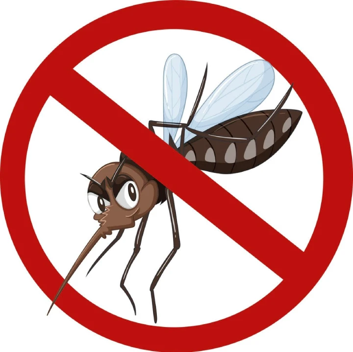 Mosquito Foggging 2